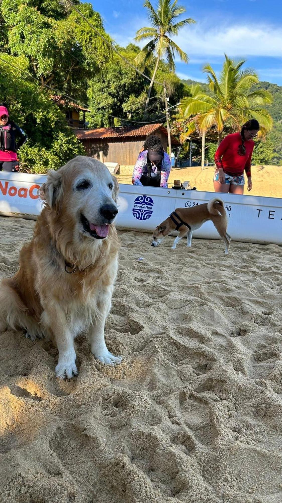 Pousada Canto Do Mar Ilha Grande Praia de Araçatiba Zewnętrze zdjęcie